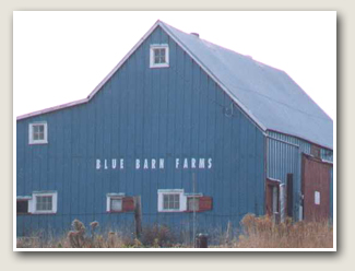Blue Barn Farms